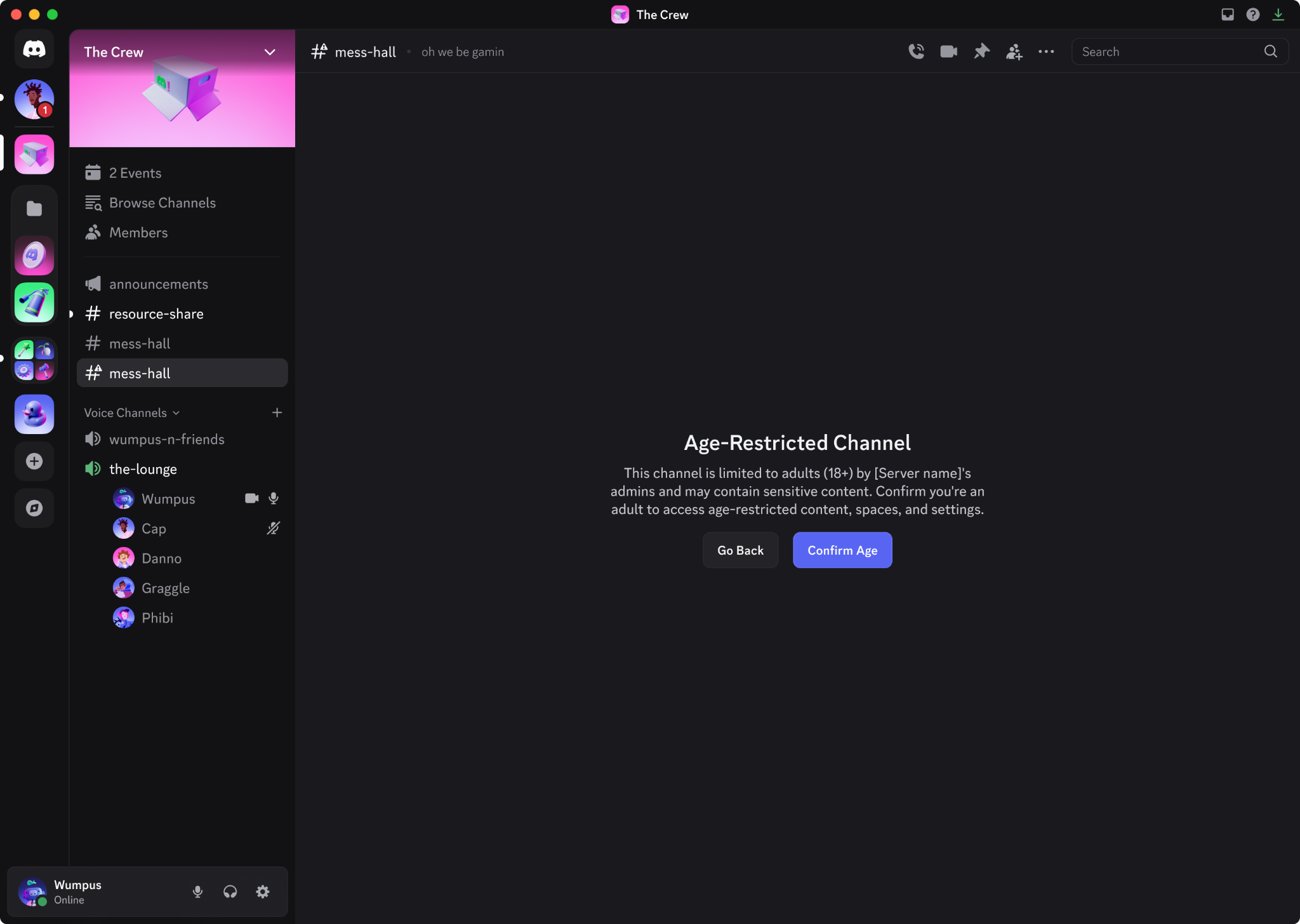 Age-Restricted Channel in a Server