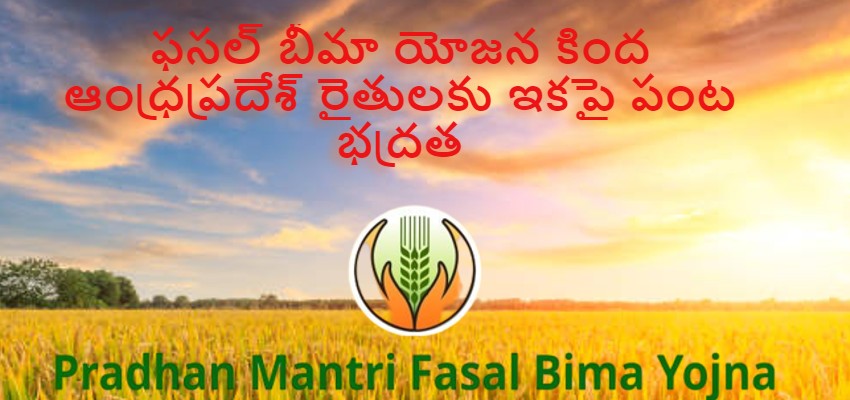 ఫసల్ బీమా యోజన కింద ఆంధ్రప్రదేశ్ రైతులకు ఇకపై పంట భద్రత లభిస్తుంది - శ్రీ తోమర్