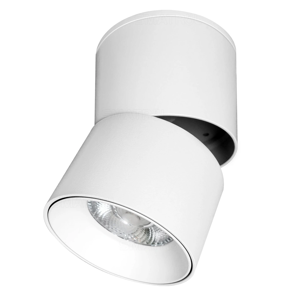 Tuya 9W High CRI CCT Rotating Spot