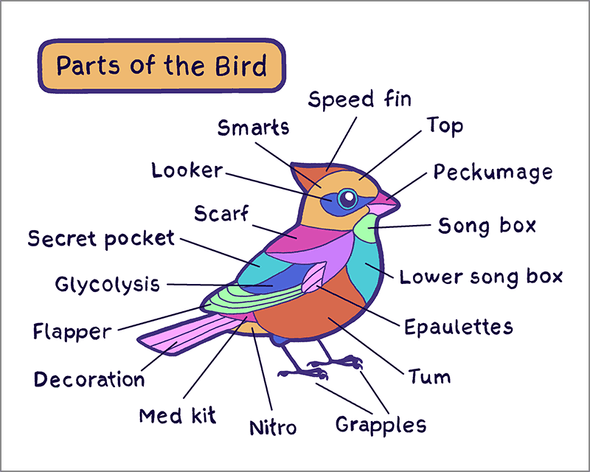 Bird Parts Print Art Bird and Moon