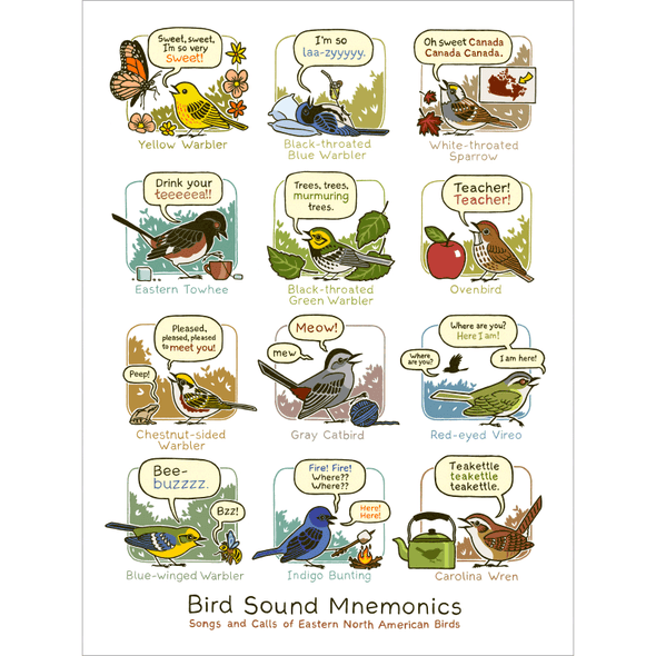 Bird Sound Mnemonics Print (Eastern) Art Bird and Moon
