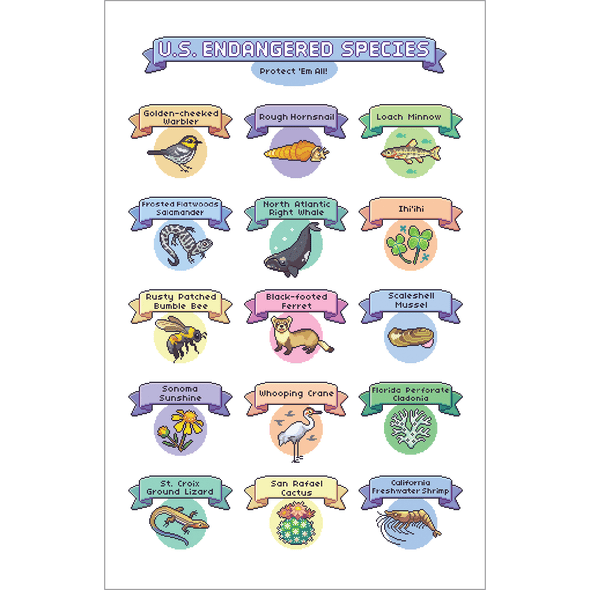 Pixelated Endangered Species of America Print Art Bird and Moon