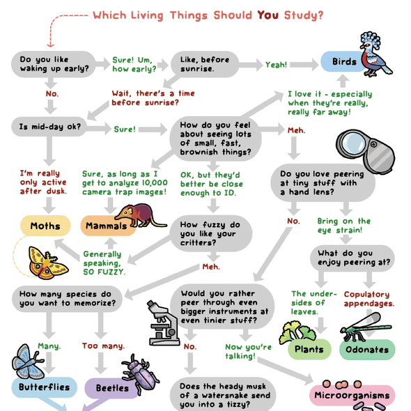 What Living Things Should YOU Study? Print Art Bird and Moon