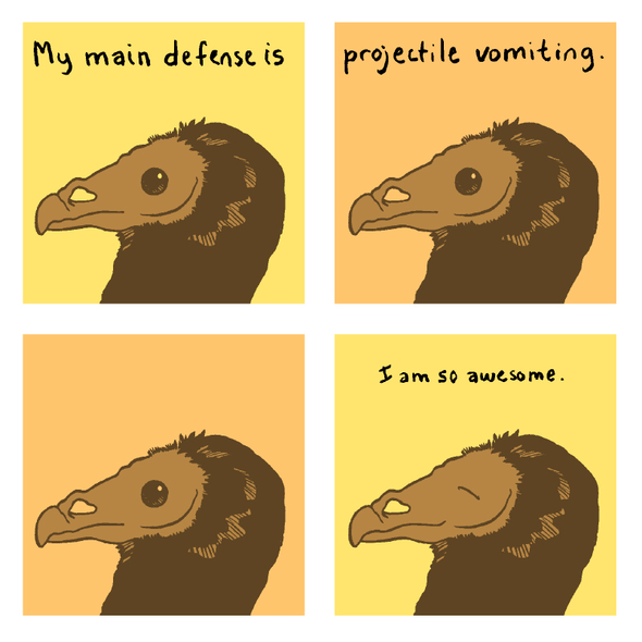 Turkey Vulture Print Art Bird and Moon