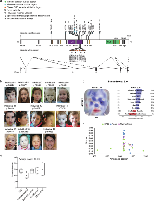 SETBP1 variants outside the degron disrupt DNA-binding, transcription and neuronal differentiation capacity to cause a heterogeneous neurodevelopmental disorder | Nature Communications