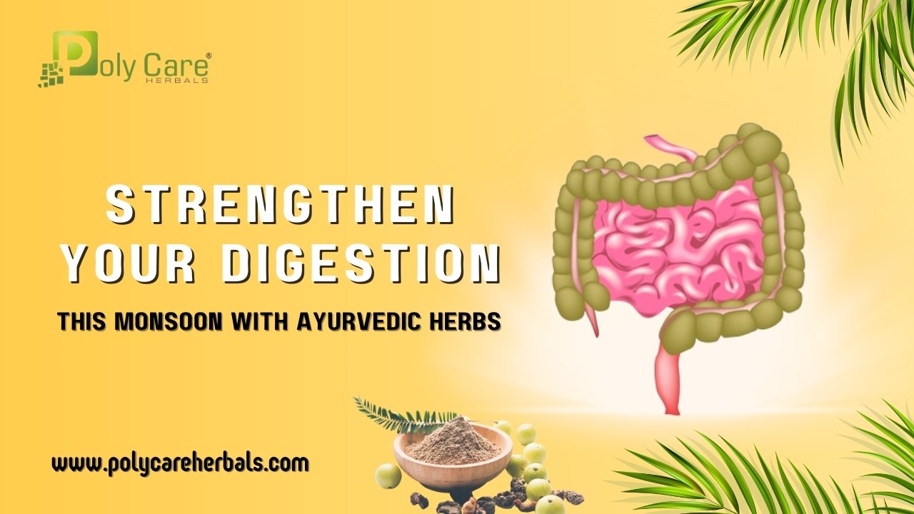 Strengthen Your Digestion This Monsoon with Ayurvedic Herbs