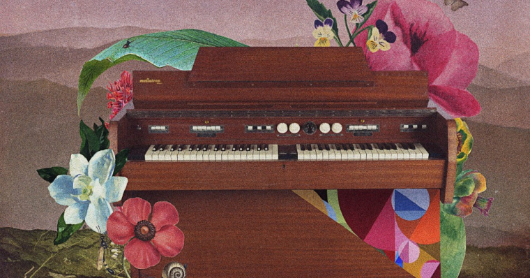 Listen to my new album "Mellotron" 🌺