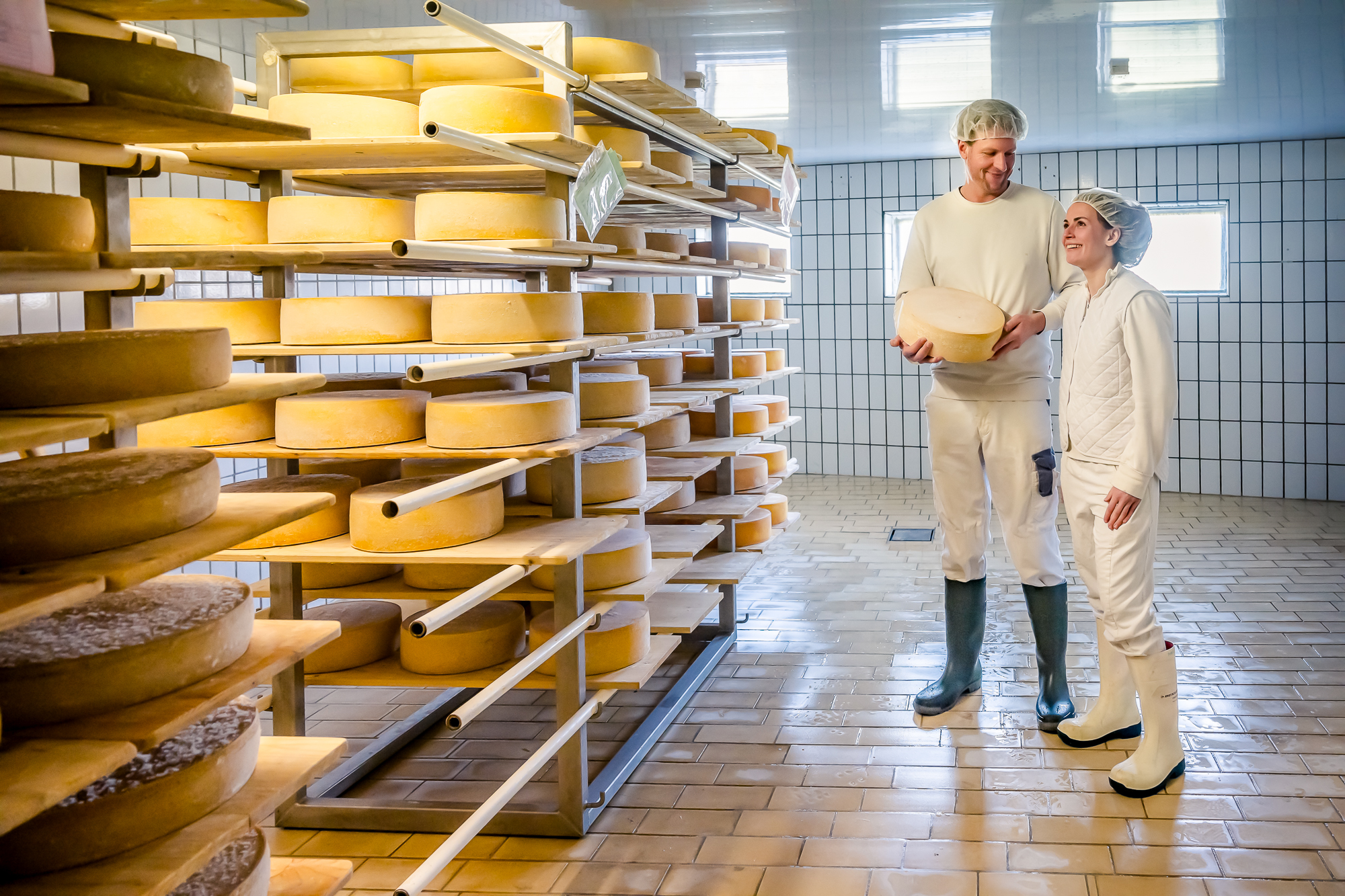 Junge Inselmeierei auf Pellworm durch Listerien in Not - Nordische Esskultur