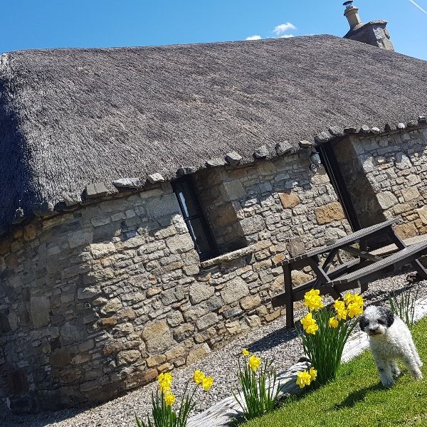 marysthatchedcottages's avatar