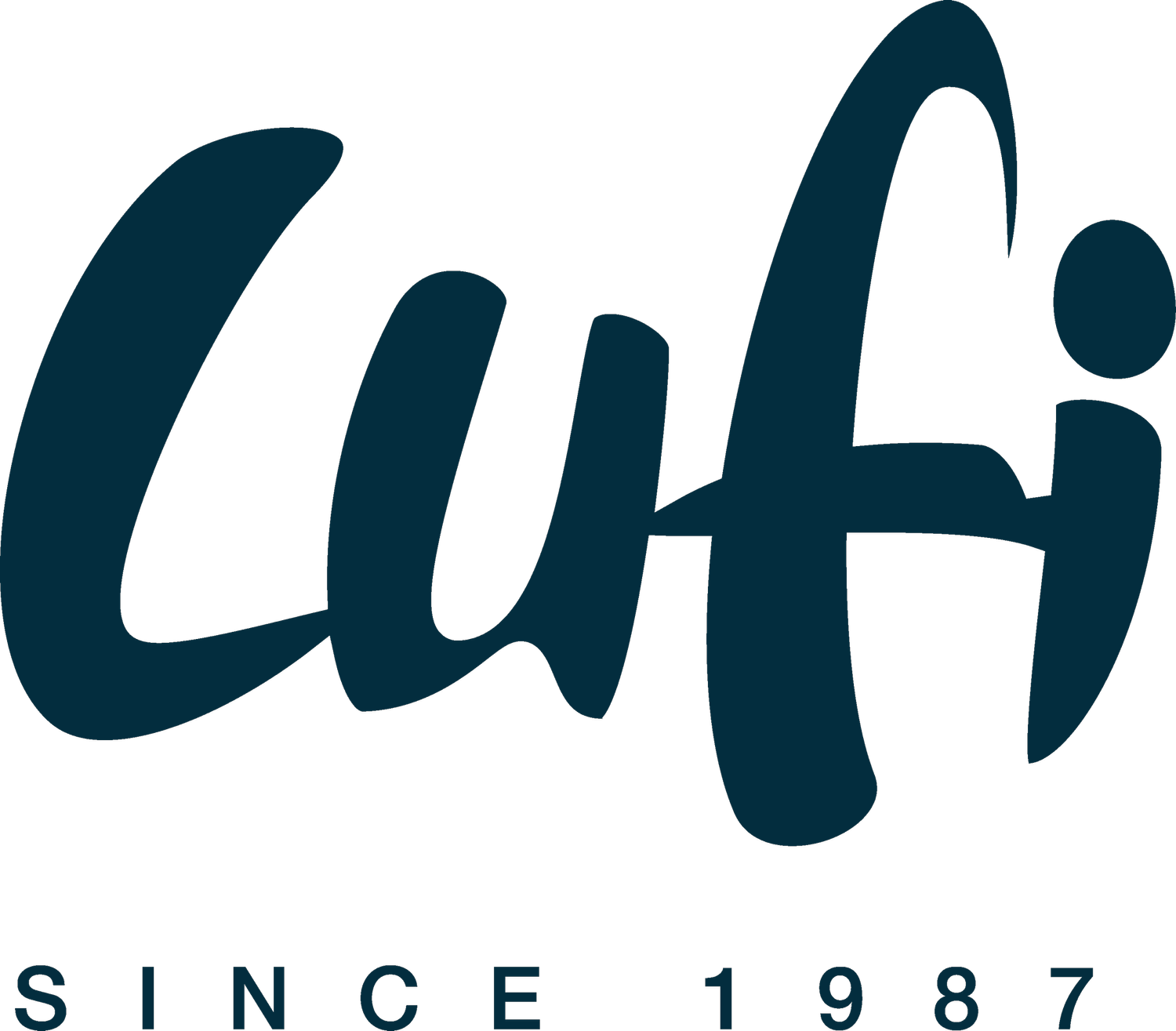 Lufi Surf Co.