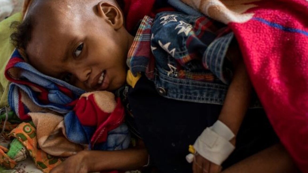 Sign the Petition for Tigray ( Ethiopia)