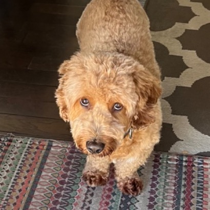 SIGN UP FOR 1/10 MAILING LIST! 