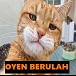 Oyen_berulah | SociaBuzz LINKBIO