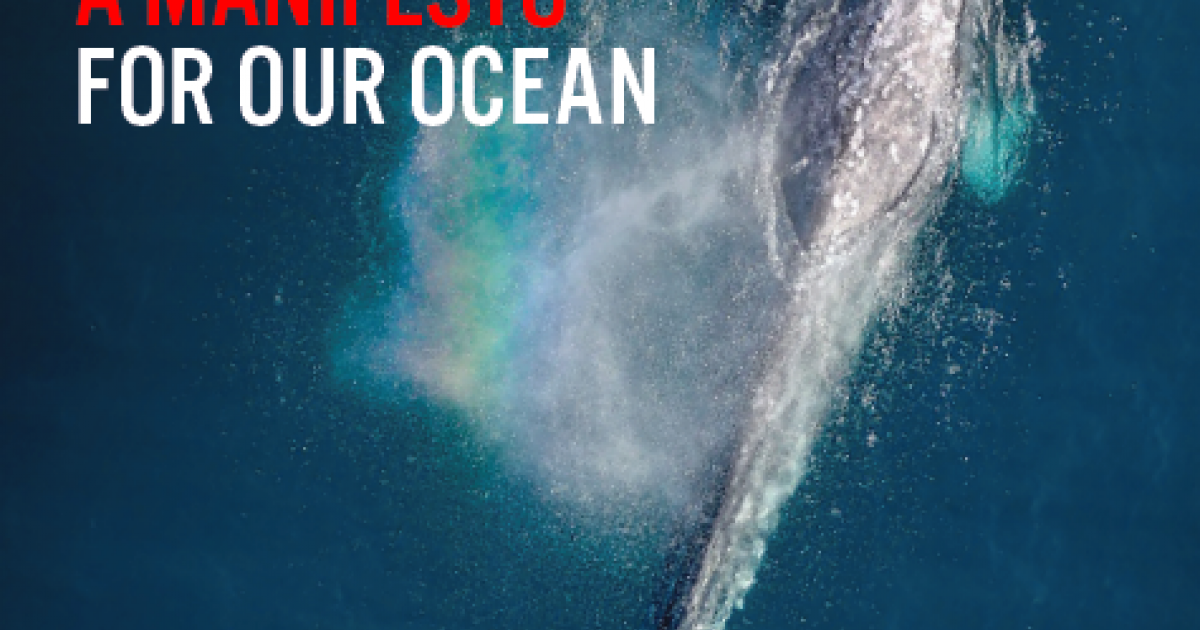 A manifesto for our ocean