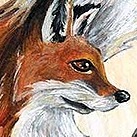 Explore The Animism Tarot 🐰