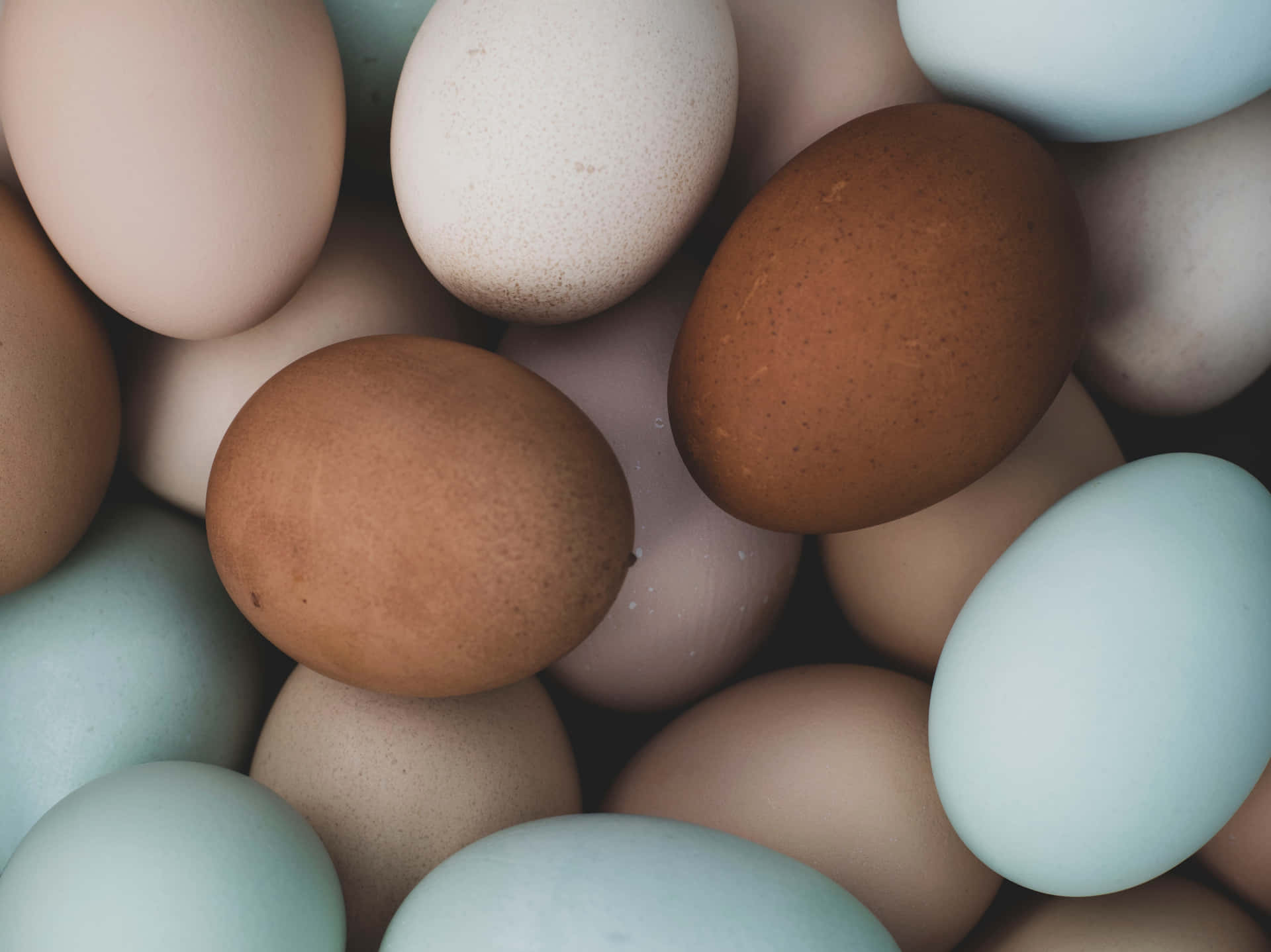 A carton of fresh Brown Eggs Wallpaper