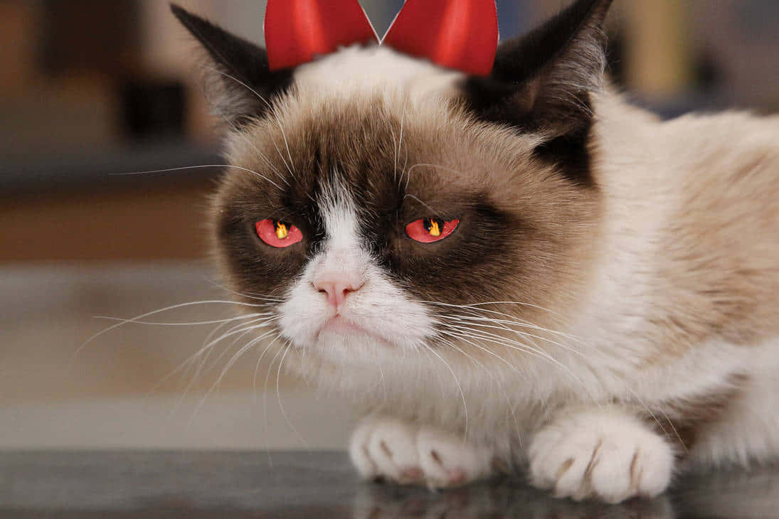 Don't even ask me to smile!