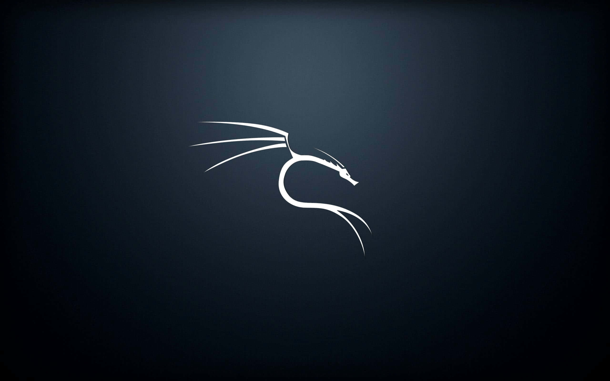 Uppenbarakraften Av Linux: Kali Linux