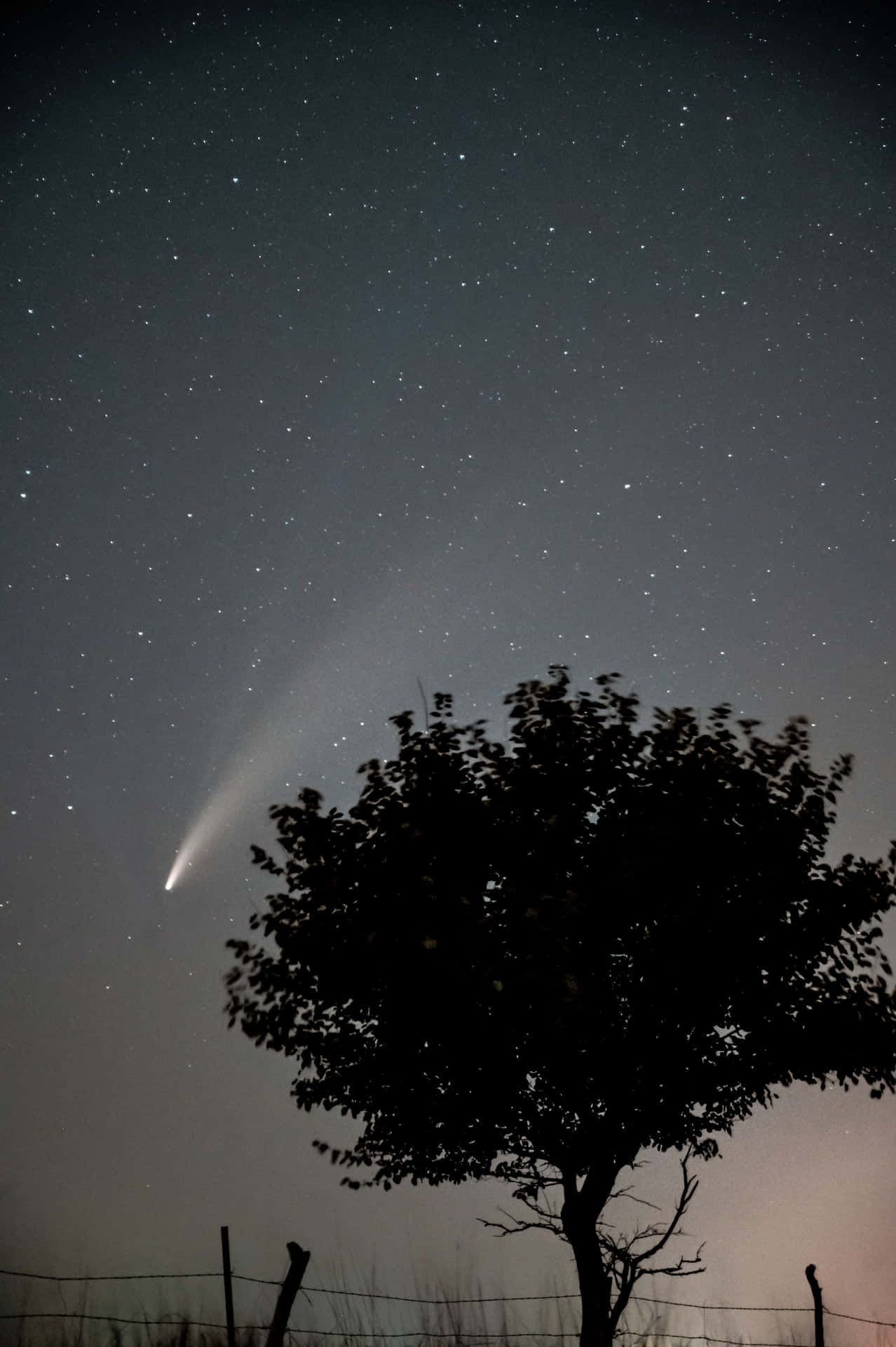 Captivante Pluie De Météores Dans Le Ciel Nocturne Fond d'écran