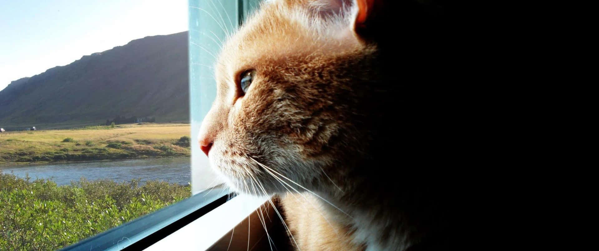 Goditila Vista Del Mar Mediterraneo Attraverso Questa Finestra.