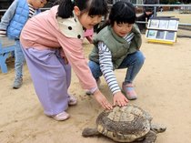 読者のイチオシ!富山の生き物ふれあいスポット【県西部編】