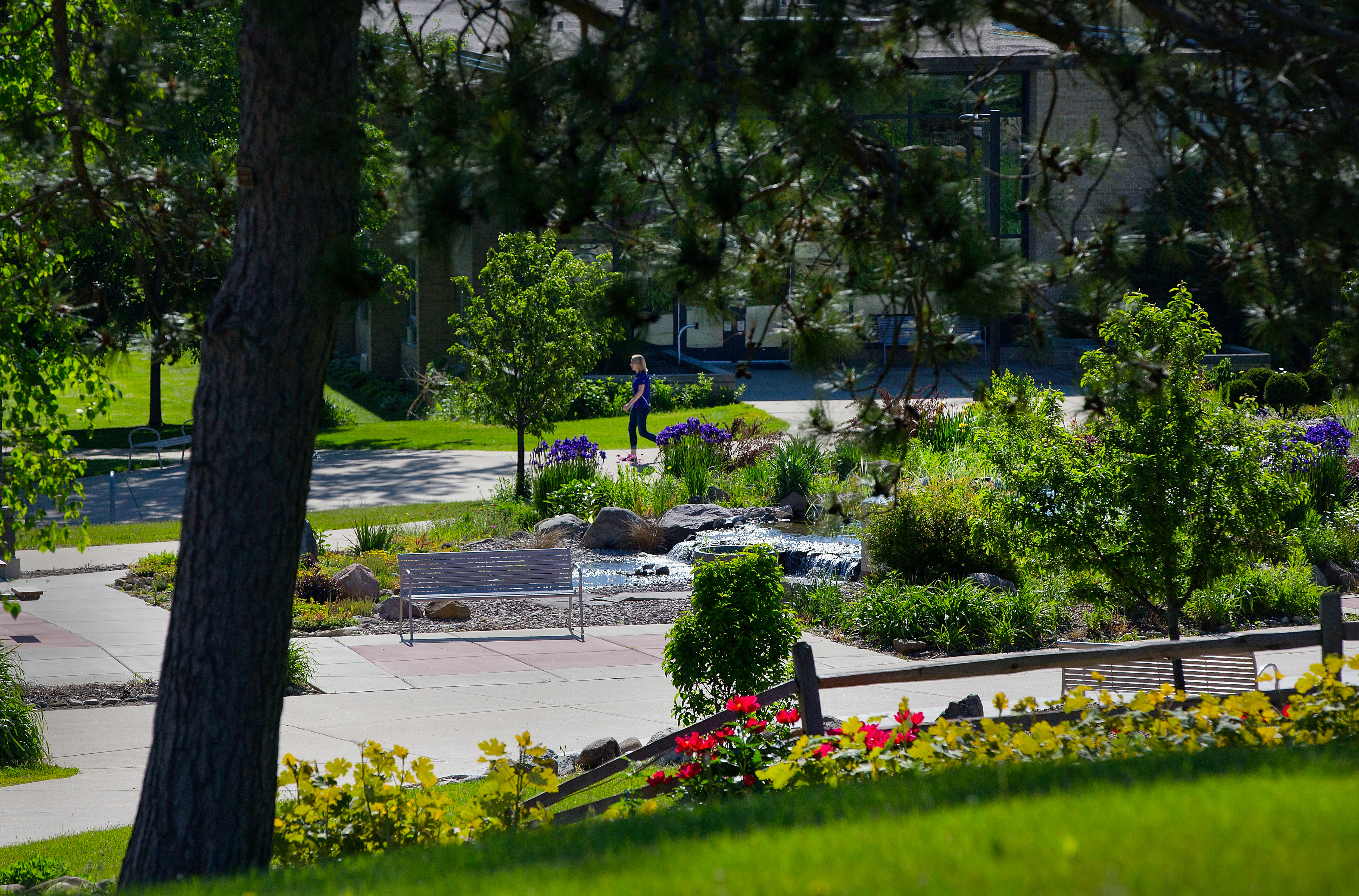 Photo of a college quad with a stream trickling alongside trees and plants in full bloom.