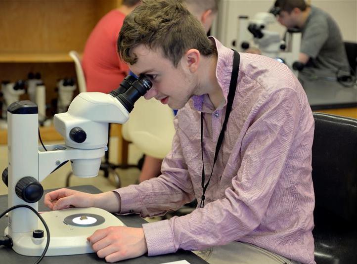 ACE, Higher Education Groups Urge Key Protections in Workforce Pell Rulemaking 