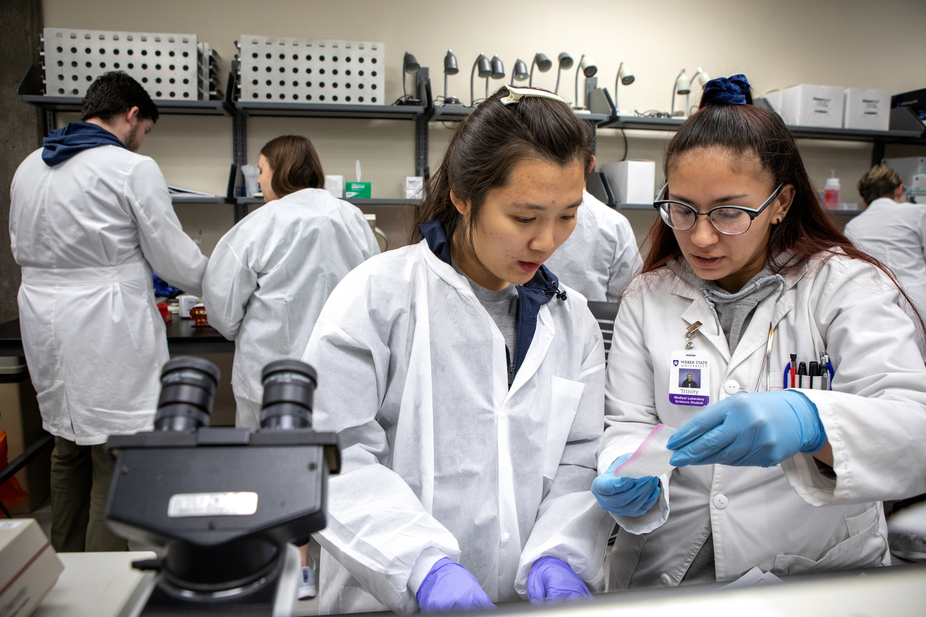 Statement by ACE President Ted Mitchell on Trump Administration Move to Slash Research Indirect Cost Rate