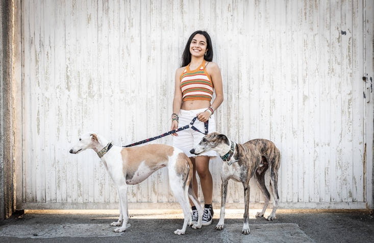 7 interview questions to ask a potential dog walker