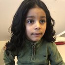 Seeker profile avatar for Looking For A Pet Sitter For 2 Dogs, 2 Cats ,4 Birds, Bunny, And Guniea Pig In Westbury