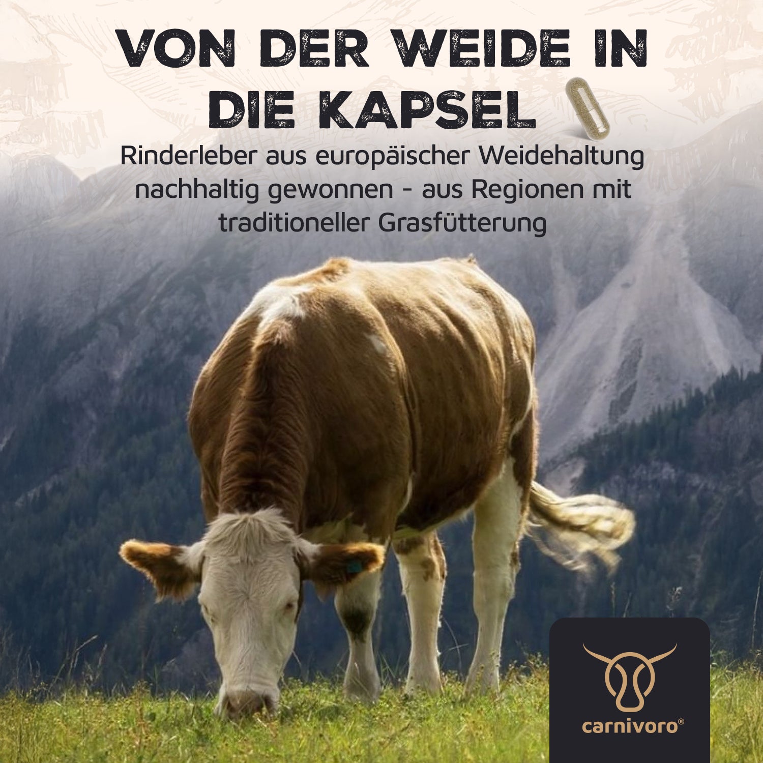 Grass Fed Beef Liver