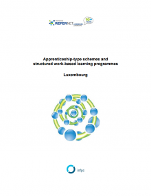 Apprenticeships and work-based learning structured programmes - Luxemburg - 2014
