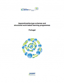 Apprenticeships and work-based learning structured programmes - Portugal - 2014
