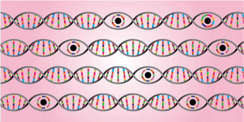 DNA Spying DNA and spying eyes