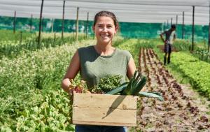 OMNIBUS FOOD AND FEED SAFETY