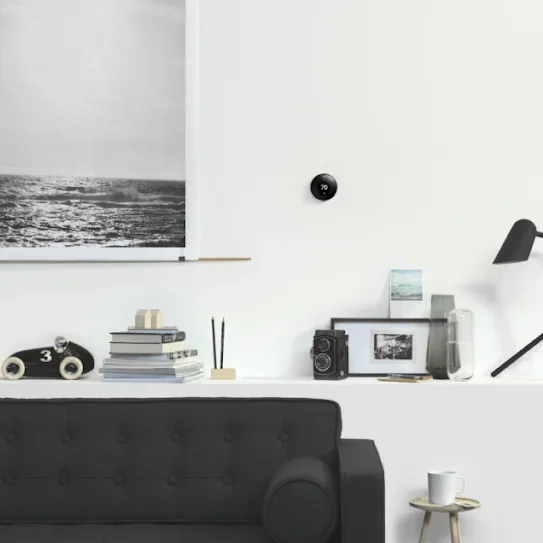 Google Nest