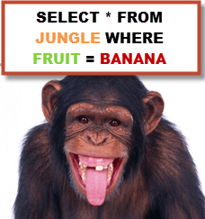 MySQL SELECT Statement with Examples