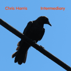 Not one thing, nor the other, but both Intermediary