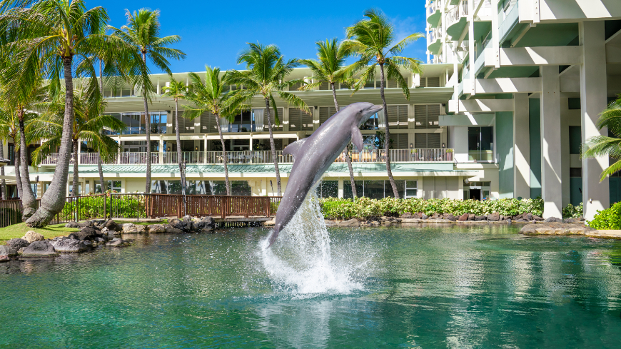 Dolphin Lanai
