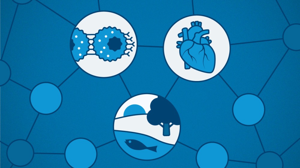 A graphic showing a network of circles joined together. Icons in the middle illustrate the three themes of our networks: oncology, cardiovascular and NAMs