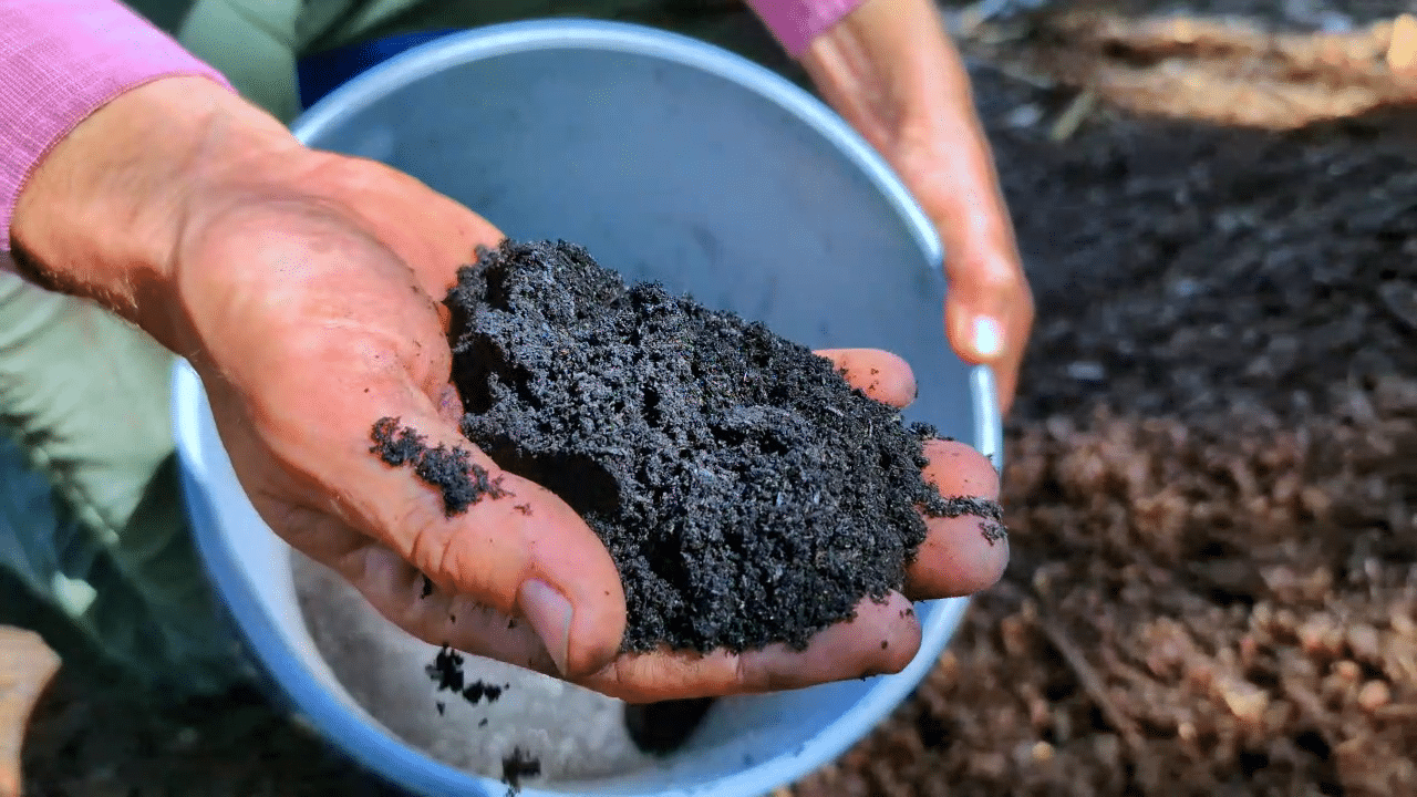 Fire Up Your Fertility: How to Make Biochar