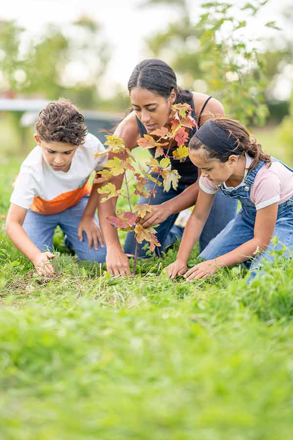 Adult and two children planting tree sapling