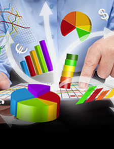 Organizational Project Management