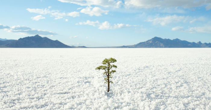 home header image