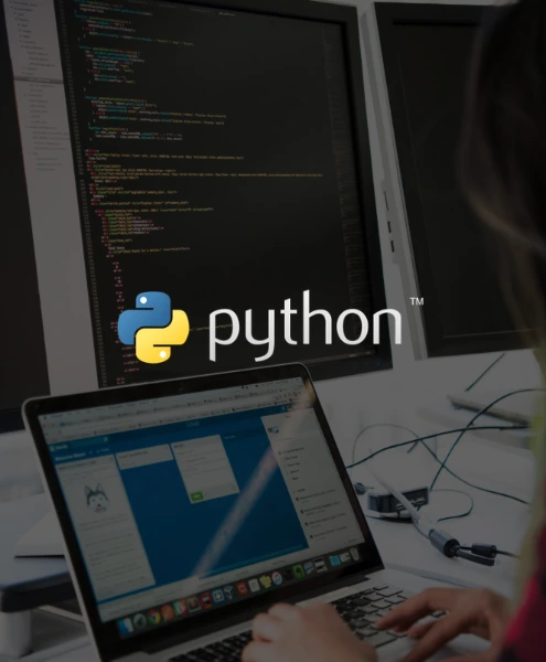 Python Python