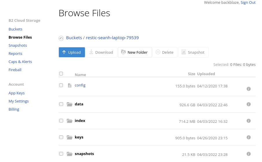 Files created by restic backup. Files created by restic backup.