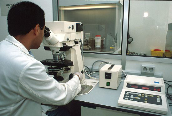 estudios estudios