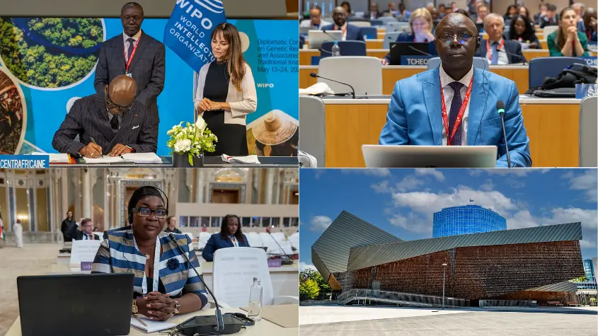 Photos at WIPO-related activities